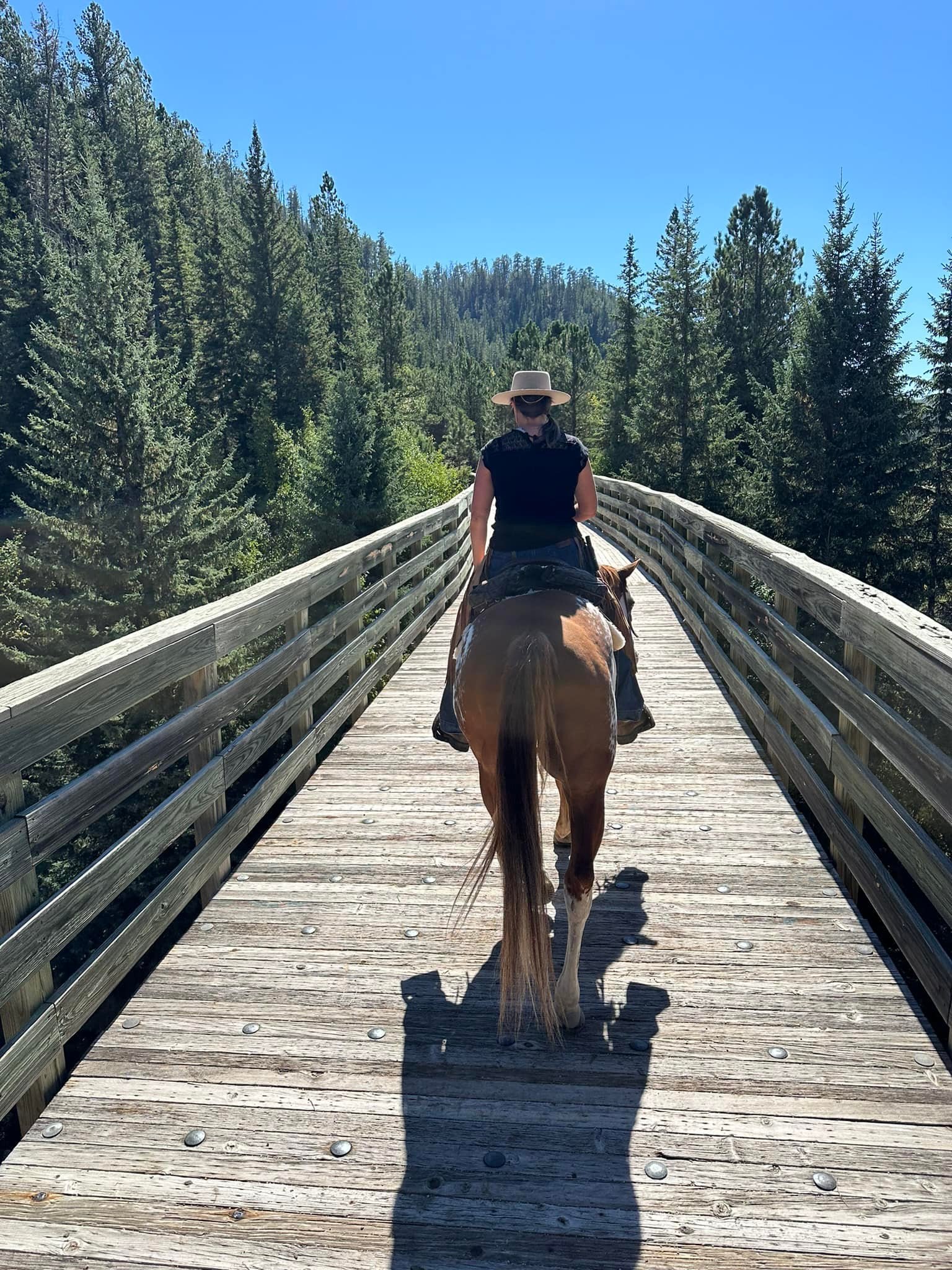 Riding horseback across a wooden bridge through mountain forest