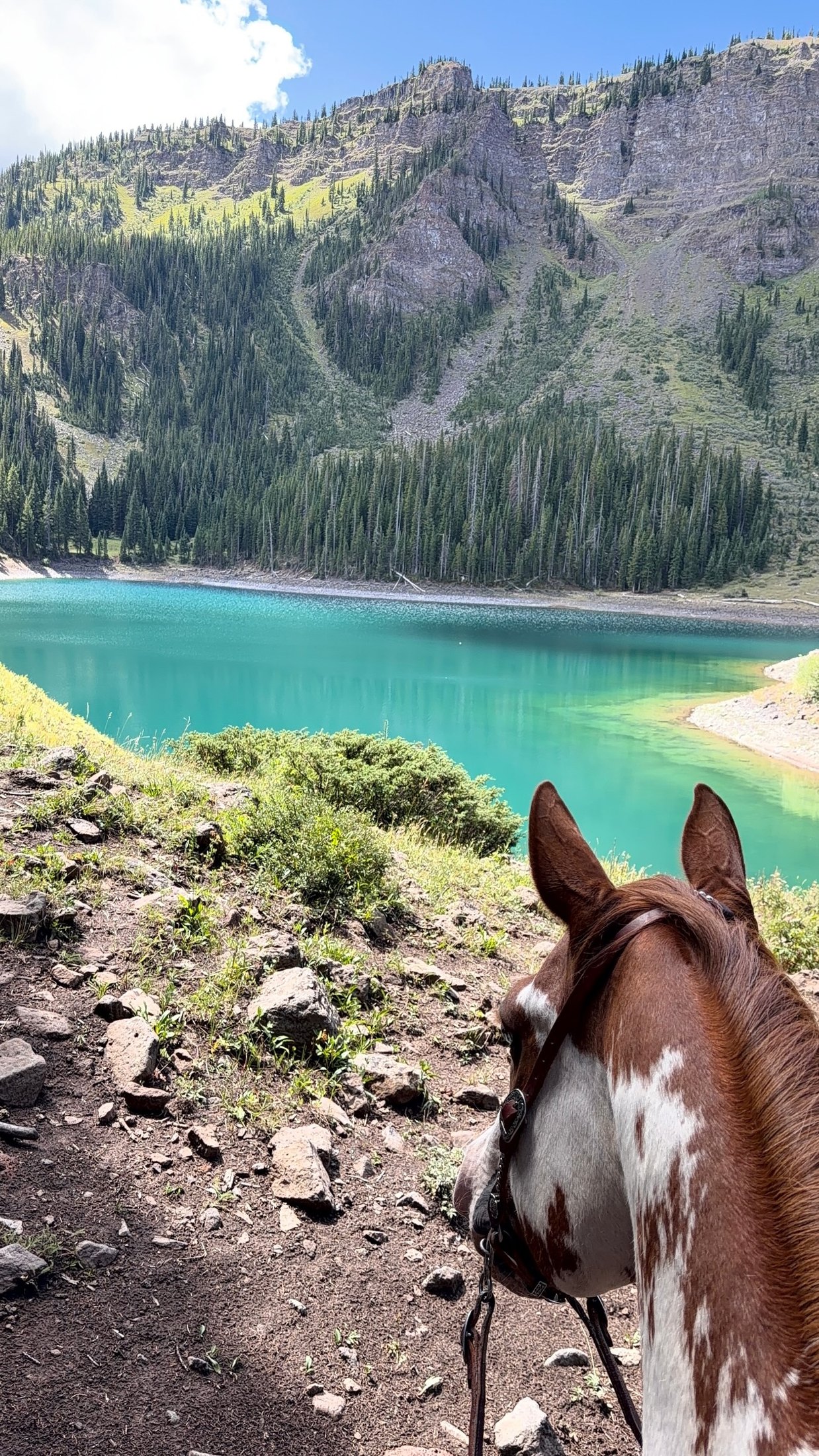 Horseback view above a brilliant turquoise alpine lake